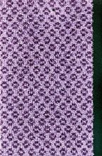 Грязезащитный коврик Colombia 45 фиолетовый